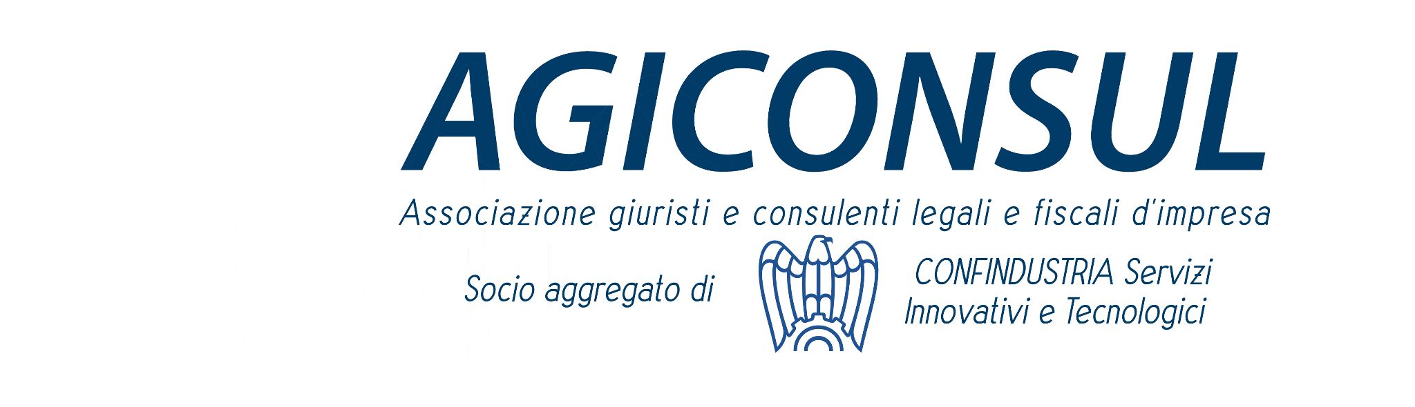 AGICONSUL